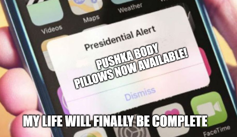 pushkbodpillow